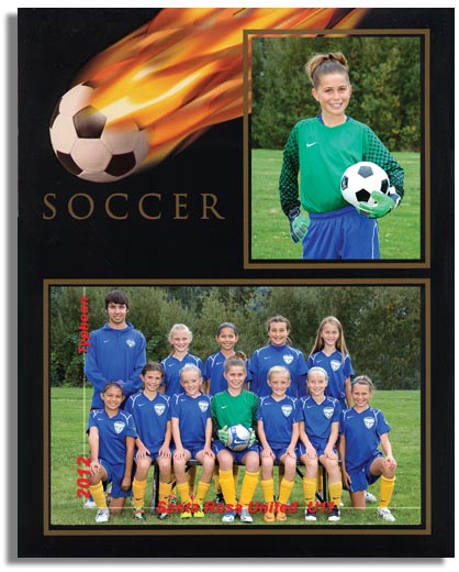 Memory Mate: Contains an 8x10 team photo and a 5x7 individual photo of your player. 